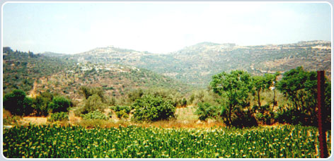 South Lebanon