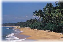 Eye On Sri Lanka