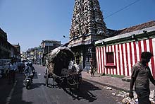 Eye On Sri Lanka
