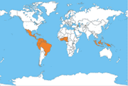 World map