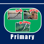 Visit the Primary section