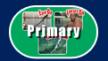 Visit the Primary section