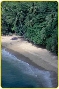 Eye on The Caribbean