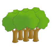 forests