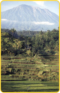 Mt Agung