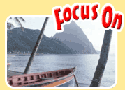 Focus On