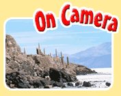 On Camera