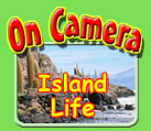 On Camera