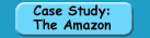 Case Study: The Amazon