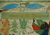 Painting "the colours of the Rainforest"