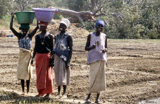 Women carrying water
