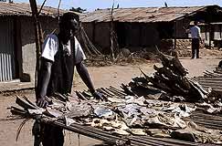 Fish Skins