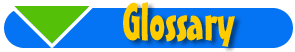 Glossary