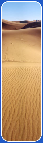 Desert