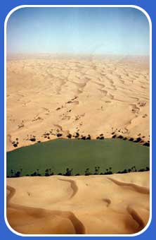 Oasis