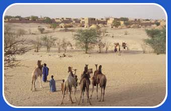 Tuareg