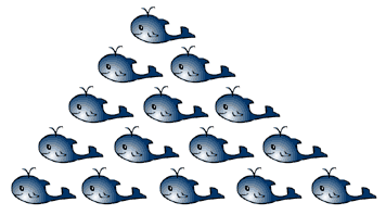 Whale Pyramid