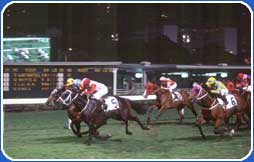 Horse racing in Hong Kong