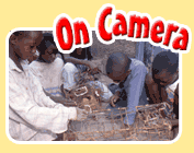 On Camera