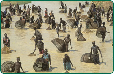 Bahr el Ghazal