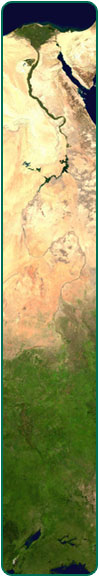 Composite Nile