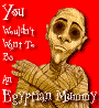 You wouldn't want to be a mummy