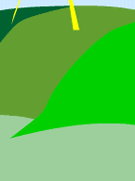 Hills