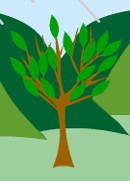 Tea plant