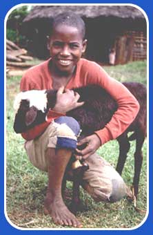 boy and goat