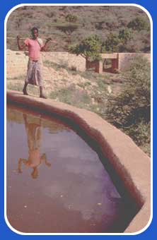 irrigation canal