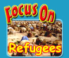 focus on refugees