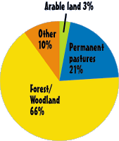 Pie Chart