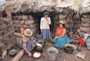 Potato Harvest, near Cuzco