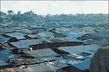 Overcrowded shantytown