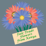 Fair Trade flowers from Kenya