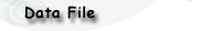 Data File