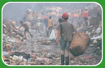 working at a rubbish tip