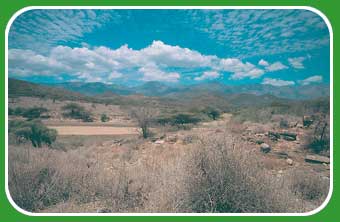 dry landscape