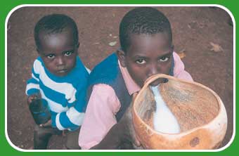 children drinking goats milk