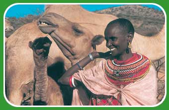woman with a camel