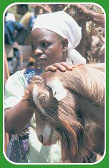 woman and her goat