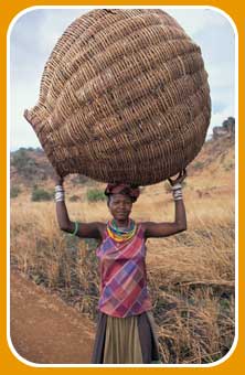Carrying a granary basket to store grain in Karamajong