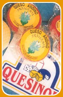 Queso cheese