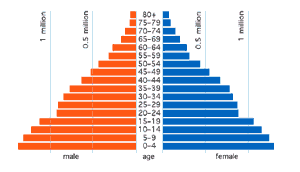 Population Pyradmid of Malaysia 2000
