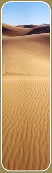 ne of the driest countries on earth