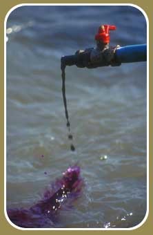Dirty Oil