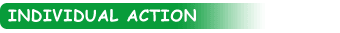 Individual Action