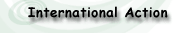 International Action