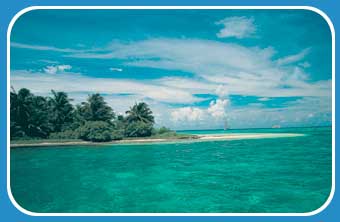 A Belizean beach