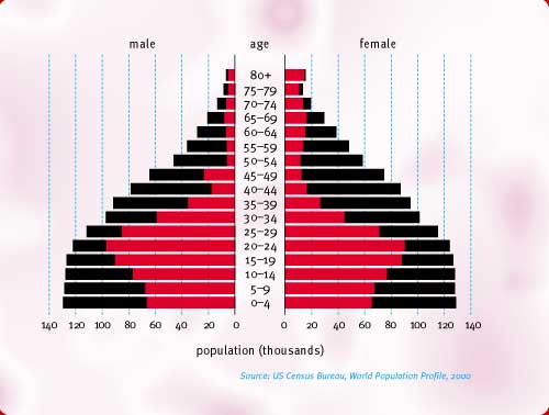 bar chart 2001